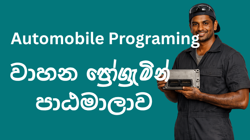 Automobile Programing